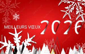 meilleurs vœux 2026