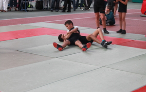 55ec04b132d14_IMG0382.JPG