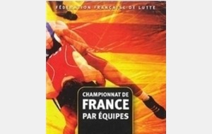 Championnats de France par équipes de 1ère Division 2015 
