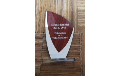 Remise des récompenses de la ville de Belleu 